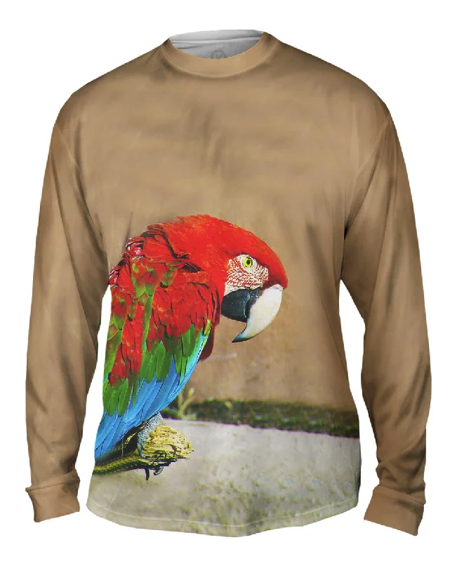 Sassy Red Parrot