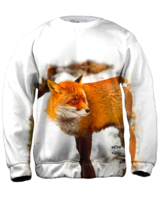 Orange Fox