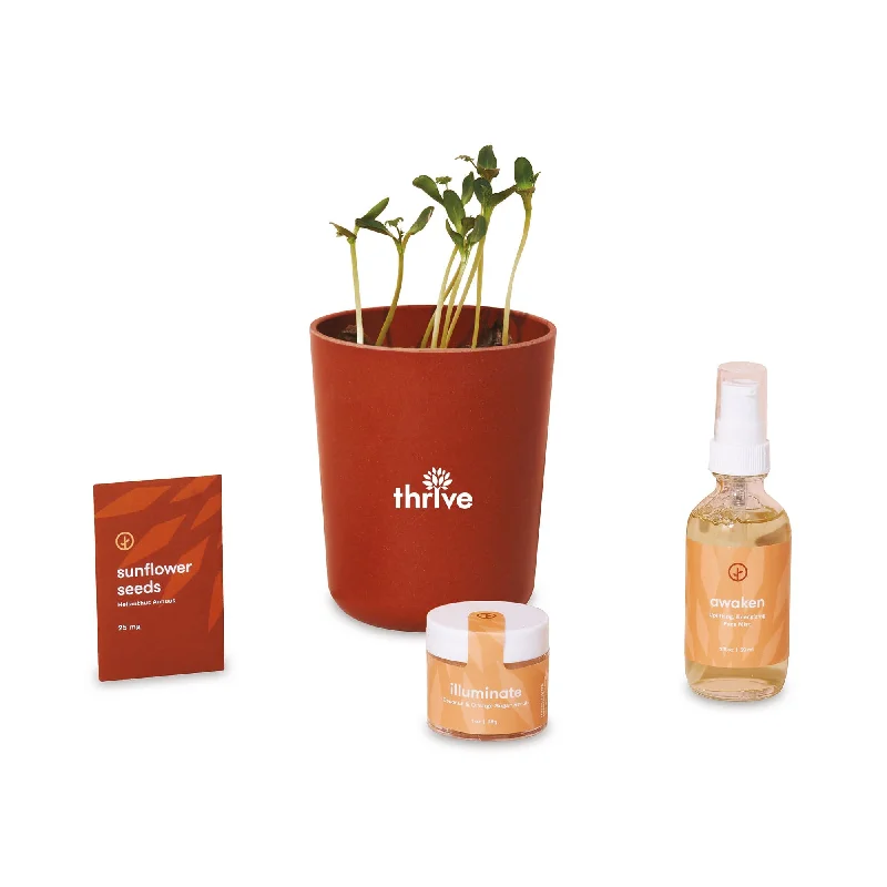 Modern Sprout® Take Care Kit - Shine Bright